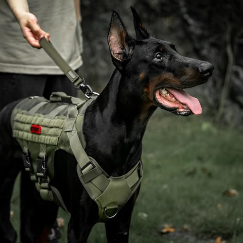 OneTigris Bolt Kurzführer Hund 30cm, Hundeleine Kurz mit Tiger Zahn Metallclip und Weiche Polsterung, Reflektierend Nylon Hundeleine Geeignet für Mittlere Große Hunde Grün