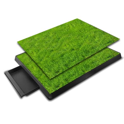 SIzlahoybgpgCŐ}bgot|[^uEOplHő^Ήg[jOp (50.8×63.5,gC+Ő2)