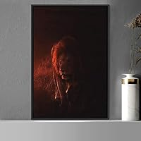 Framed Canvas Wall Art Lions Animals Chic Dramatic Lion Living Room Multicolor Photography - 16x24 inches