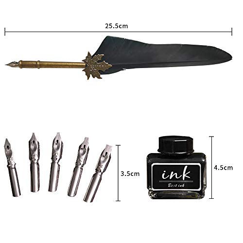 Demarsen Set di Calligrafia 7 Penne Stilografiche con 36 Cartucce d' inchiostro I