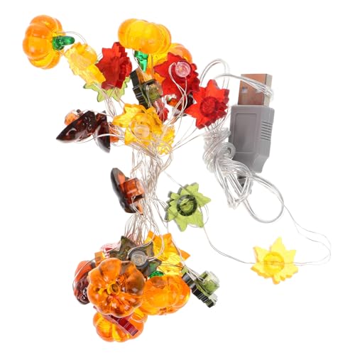 Adorainbow Halloween Indoor Decorative String Lights 3 Meter 30-led Copper