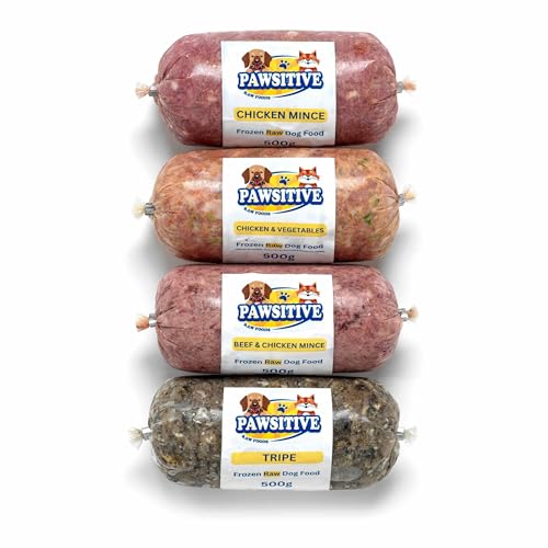 Best Fresh Raw Dog Food