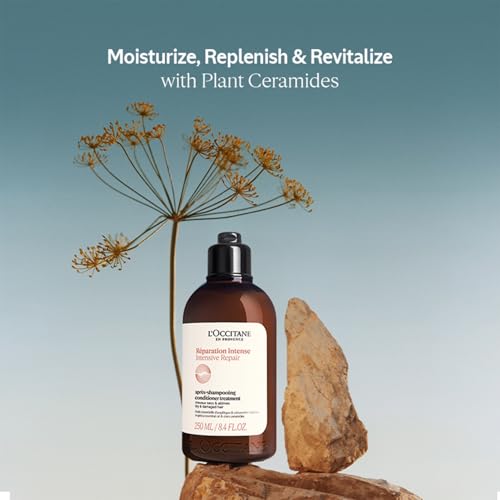 L'Occitane Intensive Repair Conditioner for Damaged Hair - Image 3