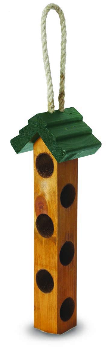 Suet log Feeder