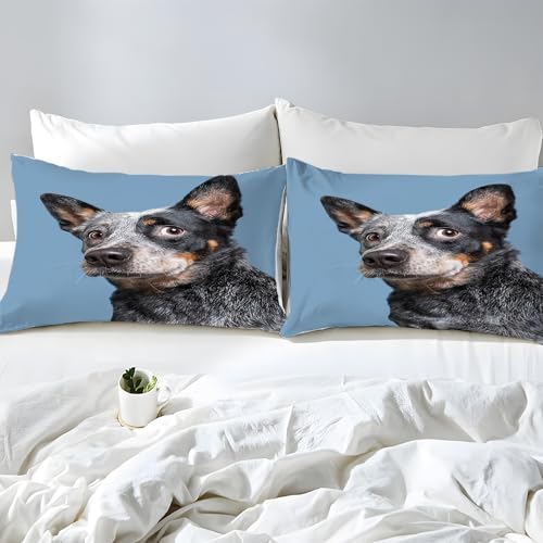 Housse de couette 200x200 chiot imprimé parure linge de lit microfibre 65x65 - 3