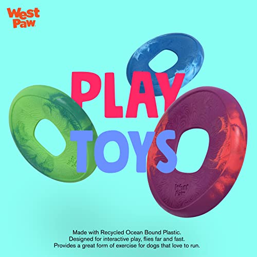 WEST PAW Seaflex Sailz Dog Toy Flying Disc – Machine Washable Dog Toys for Moderate Chewers – Eco-Friendly Zogoflex Toys for Dogs – Perfect for Gnawing, Fetch, Catch, Pet Training – Emerald - Image 6