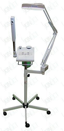 2 in 1 Digital Facial Steamer with Ozone and Aroma Therapy Basket