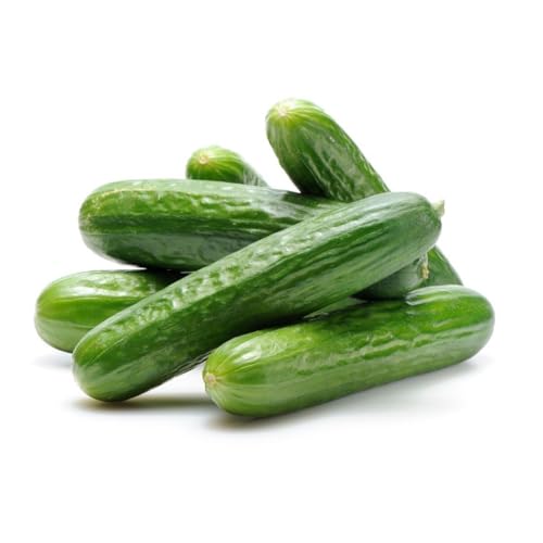 Fresh Cucumber 400-500 g GCC 3-6 Pcs