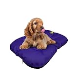 EVE Textile Hundebett | Katzenbett | Hundekorb | Katzenkorb | Hundebetten | Katzenbetten | Hundekörbchen | Katzenkörbchen | Hundekissen | Katzenkissen | 70x100x5 cm (Lila)