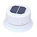 Ultra-Fab Products 53-945001 Mini Solar Plumbing Vent Quantity 2