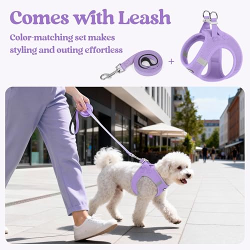 Rabbitgoo Step-In Harness & Leash Set (Light Purple, Small) — view 5