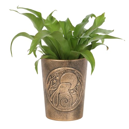 Lisa Parker Pot de fleurs en terre cuite en forme de lièvre observant la lune – Décoration de jardin mystique avec symbole païen, pot de fleurs Lisa Parker, pot de fleurs en terre cuite effet bronze,