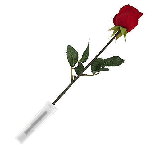 Canomo Flower Water Tubes Clear Plastic Floral Tubes for Flower