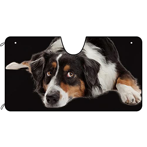 Parasol de coche para perro Pastor Australiano ideal para mantener el vehículo fresco