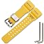 Yellow Silverbuckle