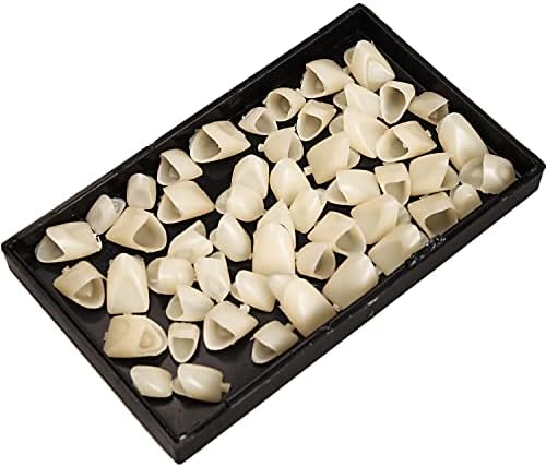 Lezevn 60 Pieces Temporary Crown Fake Teeth Front Teeth for Oral Care Tooth Repair Kit