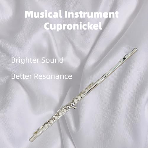 Deloitte C Flute Closed Hole 16 Keys Flute Nickel Plated thumb #1