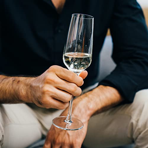 Libbey Signature Greenwich Champagne Flute Glasses, 8.25-Ounce, Set Of 4 #TOP4