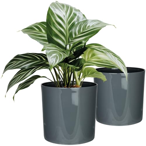SUSTANIA Blumentopf 2er Set, Durchmesser 15cm- Moderne Runde Pflanzgefäße in Anthrazit - Übertopf für Zimmerpflanzen - Made in EU - Hochglanz Finish für Innen SUSTANIA Blumentopf 2er Set, Durchmesser 15cm- Moderne Runde Pflanzgefäße in Anthrazit - Übertopf für Zimmerpflanzen - Made in EU - Hochglanz Finish für Innen