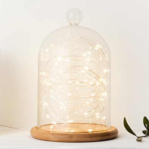 Preisvergleich Produktbild Lights4fun Deko Glasglocke 21cm mit 50er Micro Lichterkette warmweiß