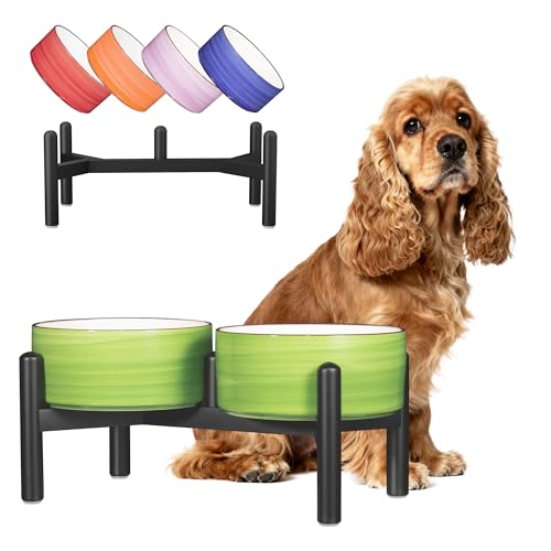 Keramik Hundenapf Erhöht mit Edelstahl-Ständer - Schoene Doppelnapf Futterstation für Kleine und Mittelgroße Hunde - rutschfest Hund Napf Set für Futter und Wasser - 350g / 660ml - 15cm - Grün
