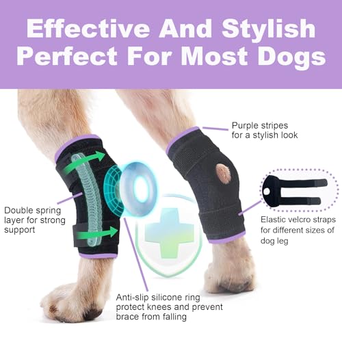 Image of Short Rear Leg Braces for Dogs, Dog Leg Brace for Joint Injury, Sprain Protection, Wound Healing and Loss of Stability from Arthritis, Dog Leg Sleeve with Flexible Straps for Post-Op, 1 Pair, Large