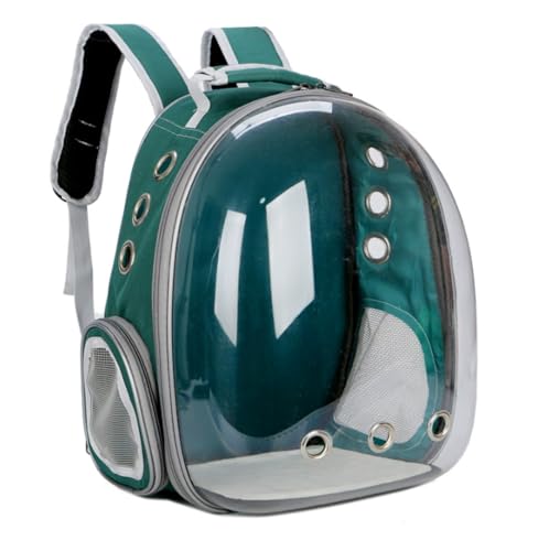 L L[obO Lp FDJvZ^ bNTbN  o ʋC e ϋv S ܂肽 pbht ybgL[obO LL[ Lp FDJvZ^ bNTbN sybgobO  o UVJbg