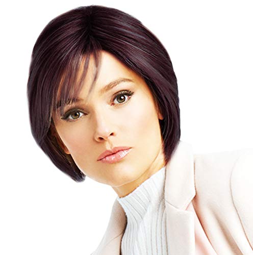 Raquel Welch Wig Hairpiece, Classic Cool, ss4/33 by Hairuwear