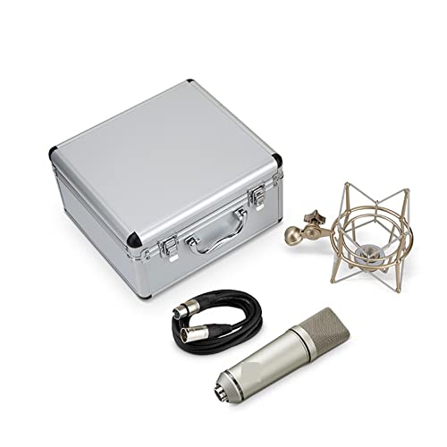 Microphone professionnel U87 P-L pour capture de voix studio de doublage et d'ancrage