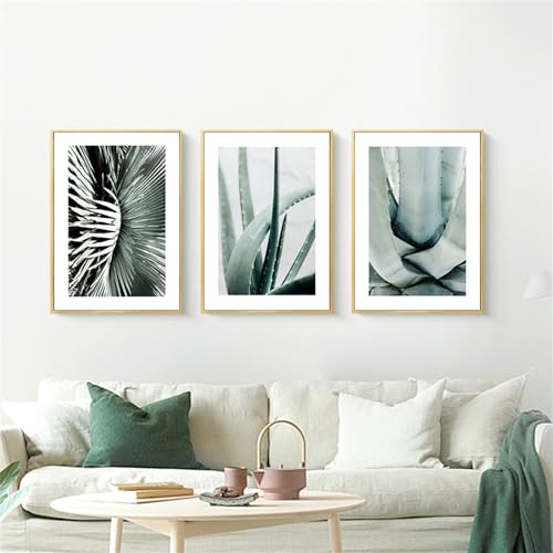 Impressions d'art abstrait de plantes succulentes triptyque 50x70cm sur toile sans cadre