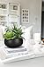 Fake Plants Artificial Succulents in Pots Faux Succulent Arrangement Potted Plant with Black Ceramic Pot for Home Decor Modern Office Desk Bathroom Shelf Living Room Indoor & Outdoor Decoration