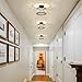 Pevfah Crystal Black Ceiling Light, Modern Semi Flush Mount Ceiling Lighting Fixture, Round Hallway Lighting Fixtures for Kitchen Entryway Bedroom Laundry Room, 1-Light, 9 Inch