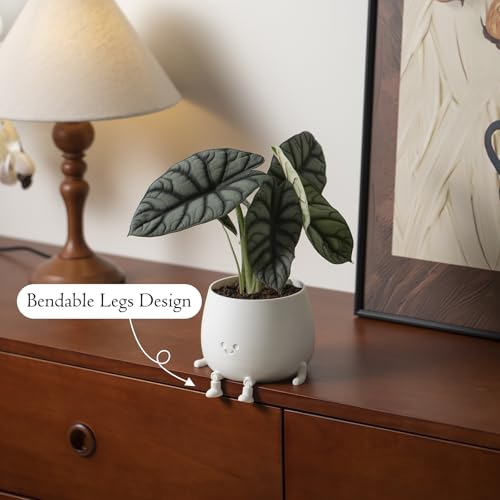 Image of TOPOLA Happy Face Planter, 5.2 Inches Plastic Plant Pot, Self Watering Plant Pot with Drainage Holes for Indoor Outdoor, Succulent Pot, Funny Flower Pot, White