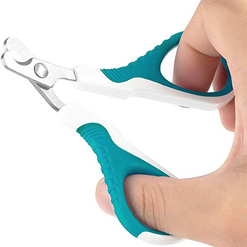 SJDZ Professional pet cat Nail Scissors Scissors Trimmer, Nail Clippers for Cats Stainless Steel Curved Design paw