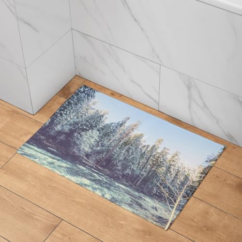 Tapis d'entrée poil ras scène de neige 45x75cm CEVAN