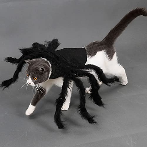 LOVIVER Spinnenhund Kostüm für Halloween Party - Hund Kostüm für Teddy, Mops, Chihuahua, Shih Tzu, Yorkshire Terrier