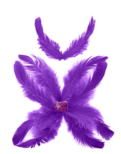 Image of TIPTOP DECORATION Natural Dyed Feathers 10 cm (80 pieces) (Violet)