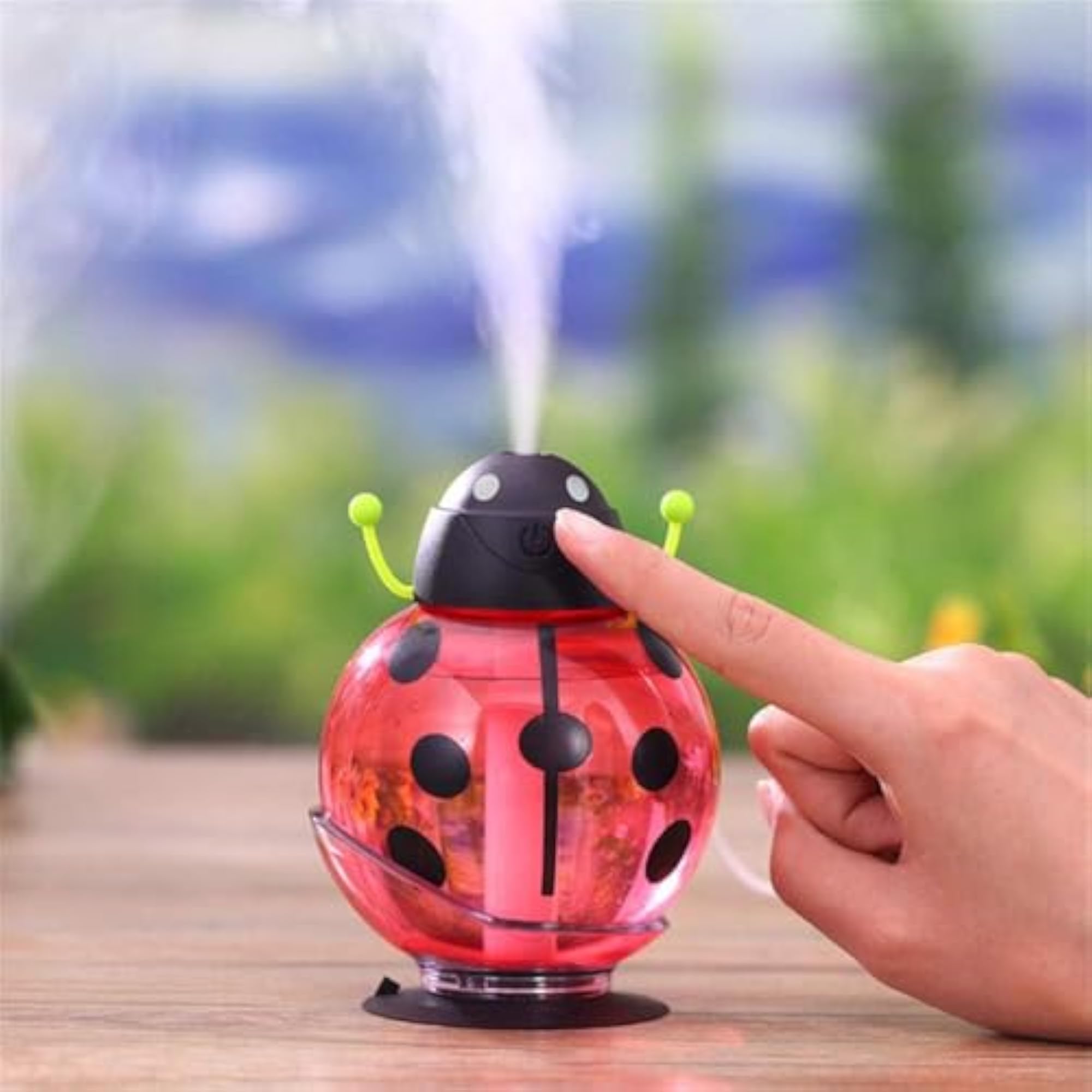 Mini Beetle Shape USB Humidifier & Aroma Diffuser