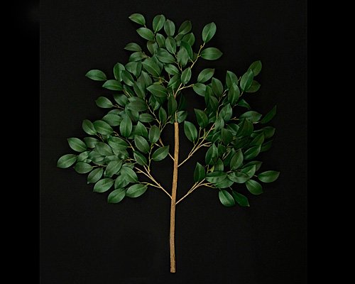 ɐ - { - ԍ ʋ 60cm 85cm O՗p ԍ  ʋ  ؖ ̎} P