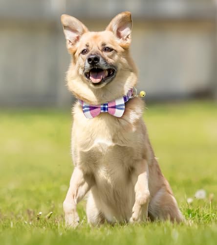 Image of Plaid Dog Collar with Bow, 2 Pack /Set Adjustable Cute Dog Bow Tie Collars with Bell, Best Pet Gift for Small Medium Large Boy Male Dogs