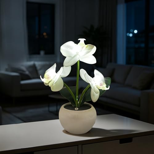 Image of White Artificial Orchid Lamp, Cordless Touch Control Floral Night Light, Valentine's Mothers Day Wedding Birthday Gift for Mom Wife Friends, Floral Table Light for Bedroom Indoor Home Ornament