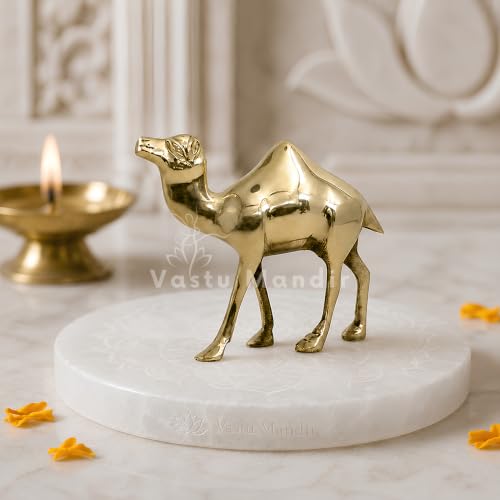 Image of Brass Camel Idol, Vastu Remedy for Endurance & Stability (16 cm, 780 g)