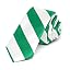 Kelly Green and White