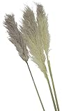schenken-24