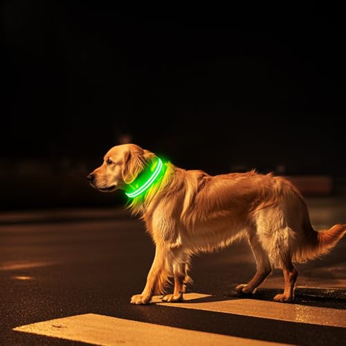 PcEoTllar Leuchthalsband Hund Aufladbar, Hundehalsband Leuchtend, Beleuchtetes LED Halsband für Hunde für Kleine Mittlere Große Hunde, Hunde Leuchthalsband Wasserdicht 3 Leuchtmodi, Grün-S