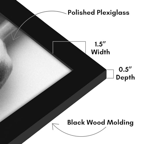 Americanflat 12x20 Picture Frame with Polished Plexiglass - Black Picture Frame - Wide Photo Frames Made of Engineered Wood for Vertical or Horizontal Wall Display - Epic Collection - Black