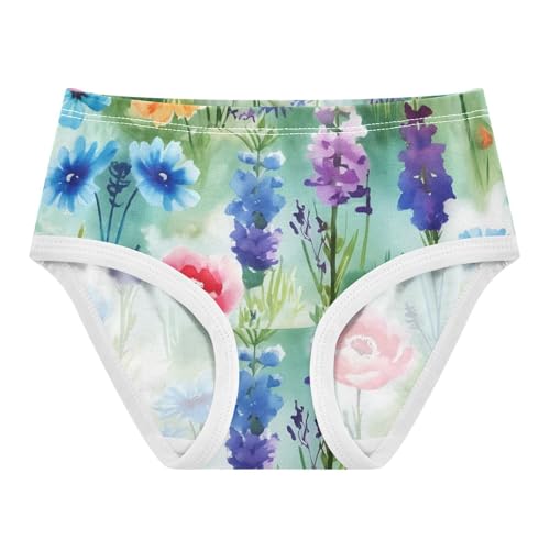 Colorful Wildflowers Lush Meadow Little Girl Panties Toddler Underwear Custom Cotton Animals Briefs Girls Undies 2t