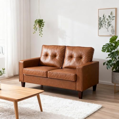 Solid Steel Frame 2-Seater Loveseat Sofa with Tufted Design