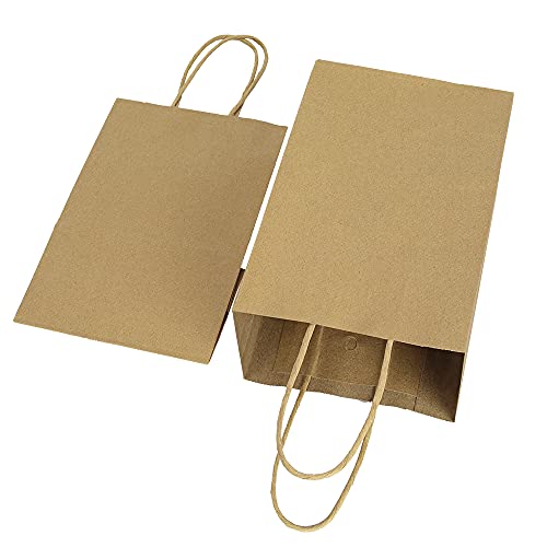 bagmad 100 Pack 5.25x3.25x8 Inch Brown Small Paper Bags with Handles Bulk, Gift Paper Bags, Kraft Birthday Party Favors Grocery Retail Shopping Takeouts Business Craft sacks (Plain Natural 100pcs)