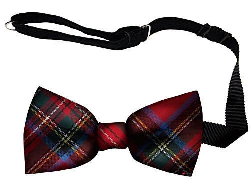 Noeud papillon écossais homme en laine Stewart Royal Tartan avec sangle réglable